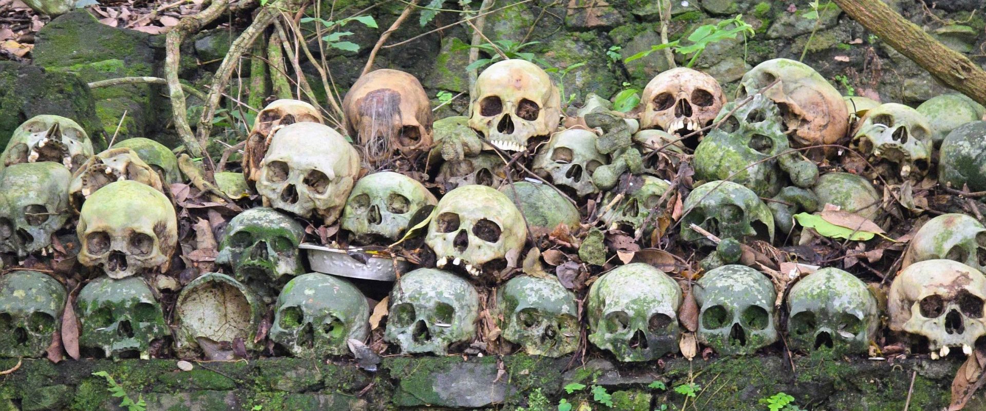 Skulls resting beneath the Taru Menyan tree at Trunyan Cemetery